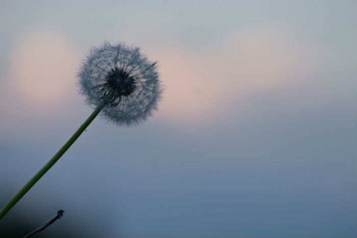 鹽城專升本考試報名官方網(wǎng)站和要求如何