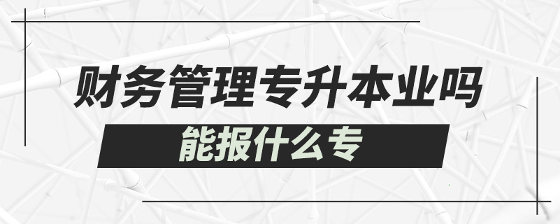 財務(wù)管理專升本能報什么專業(yè)嗎