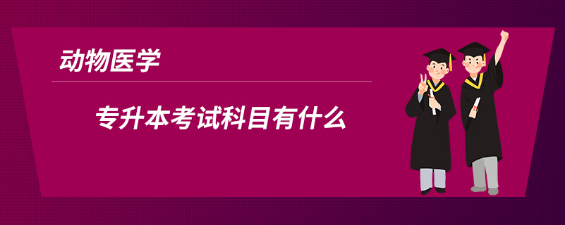 動物醫(yī)學(xué)專升本考試科目有什么