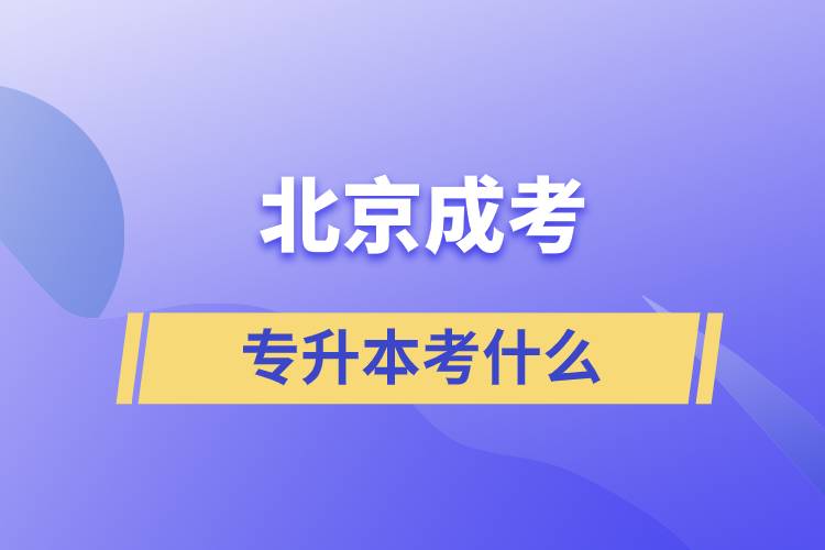 北京成考專升本考什么