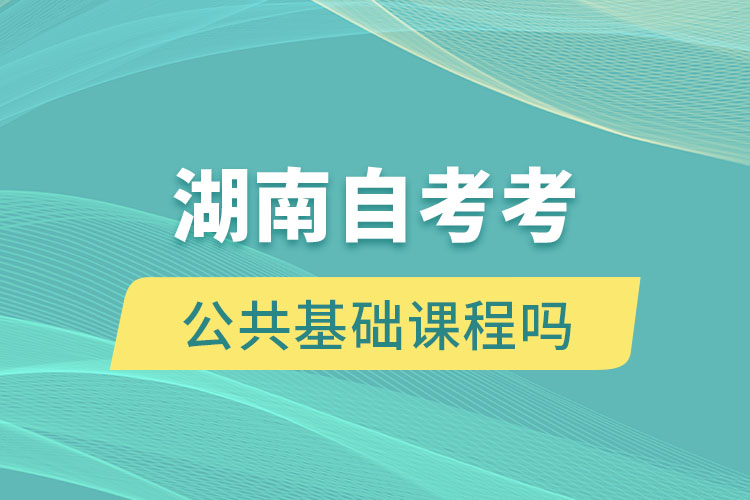 湖南自考考公共基礎(chǔ)課程嗎