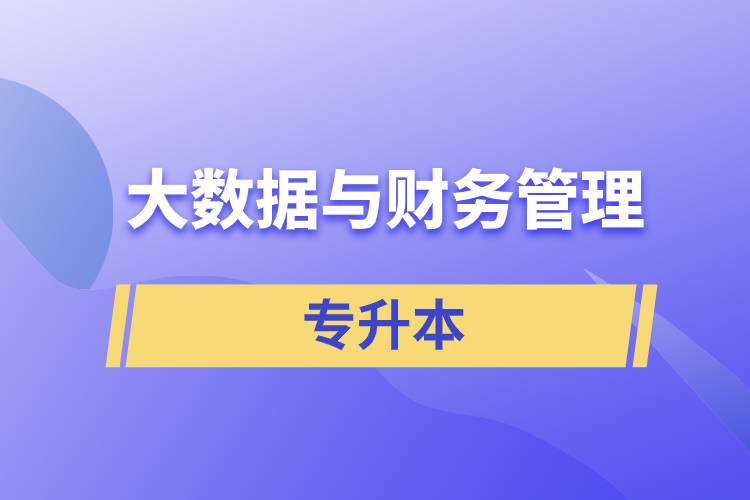 大數(shù)據(jù)與財(cái)務(wù)管理專升本