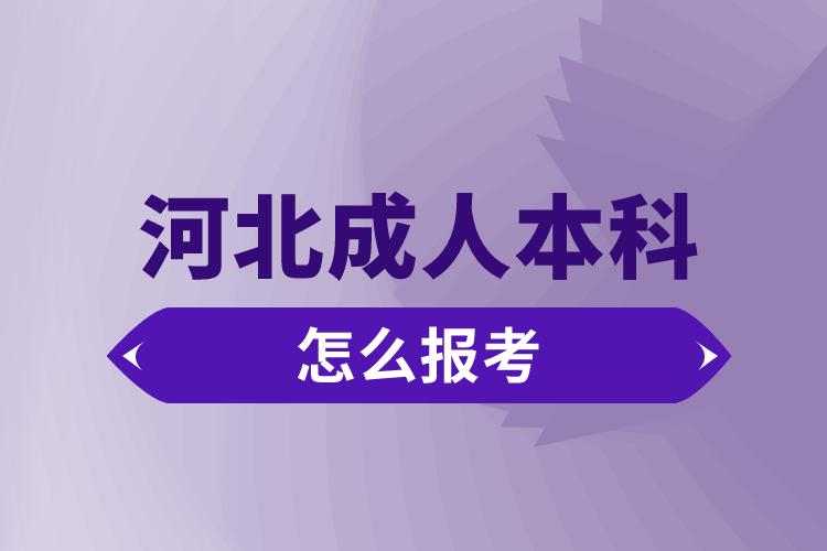 河北成人本科怎么報(bào)考