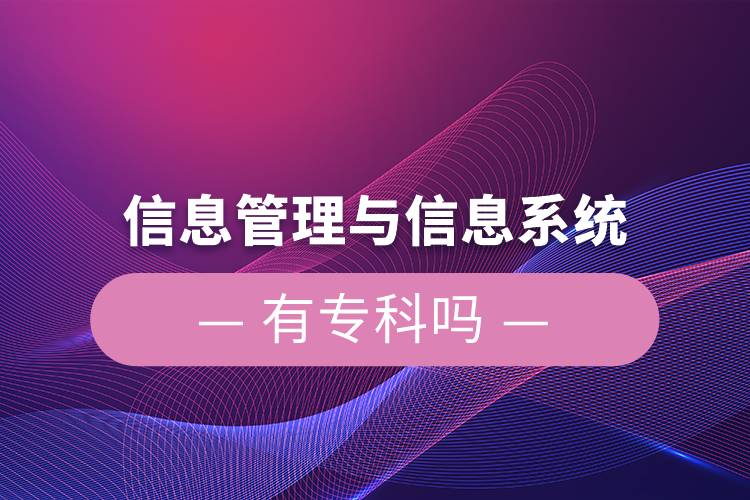 信息管理與信息系統有專科嗎