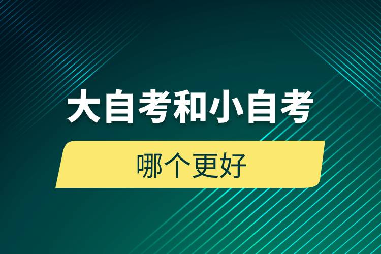 大自考和小自考哪個(gè)更好