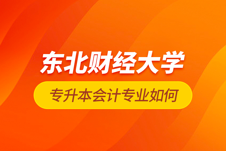 東北財經大學專升本會計專業(yè)如何