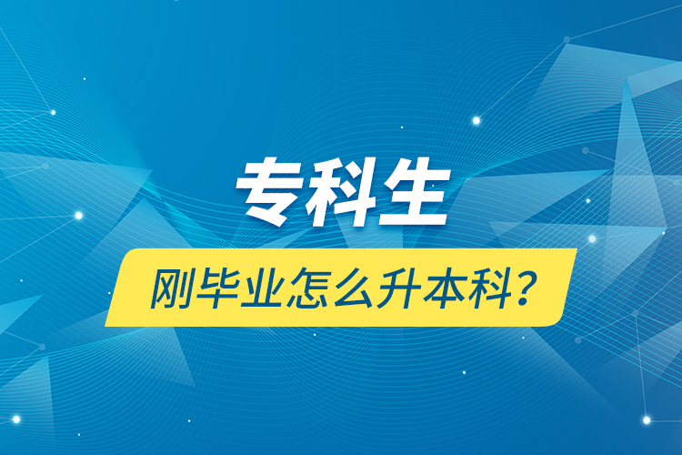 專科生剛畢業(yè)怎么升本科？