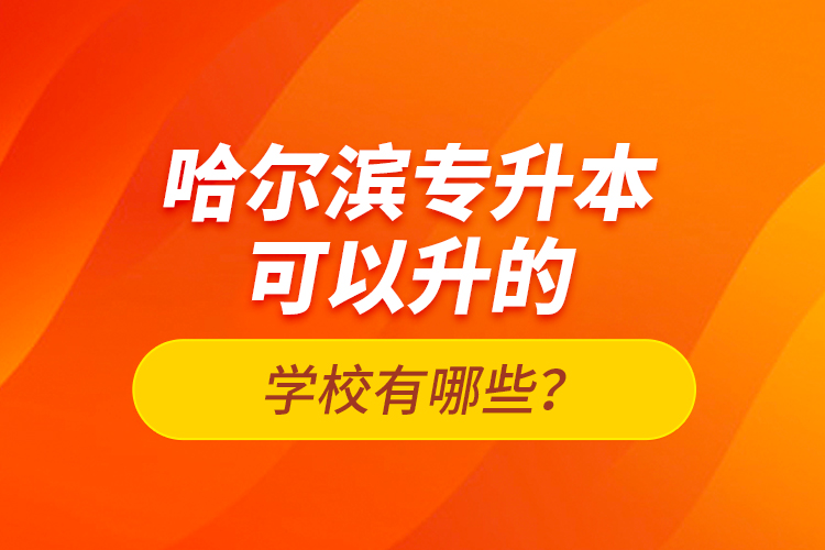 哈爾濱專升本可以升的學校有哪些？