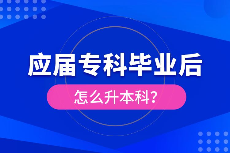 應屆?？飘厴I(yè)后怎么升本科？