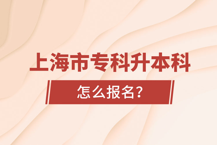 上海市?？粕究圃趺磮?bào)名？