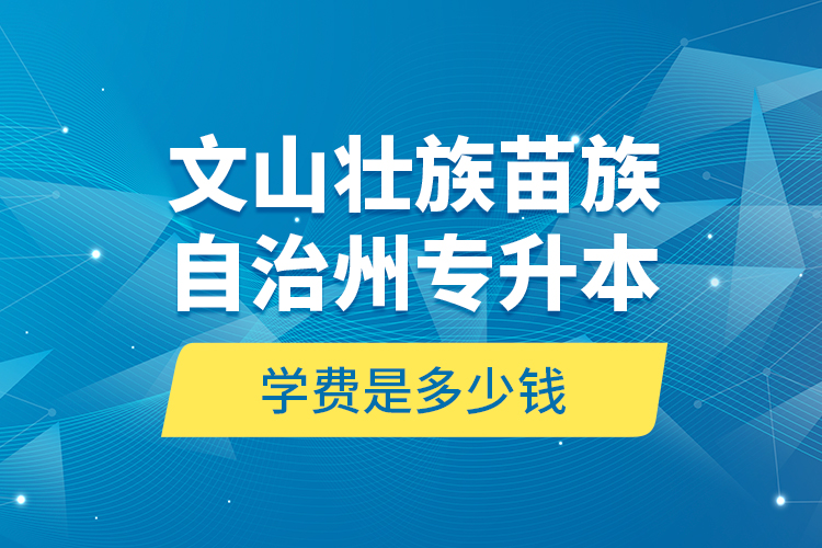 文山壯族苗族自治州專升本學(xué)費(fèi)是多少錢？