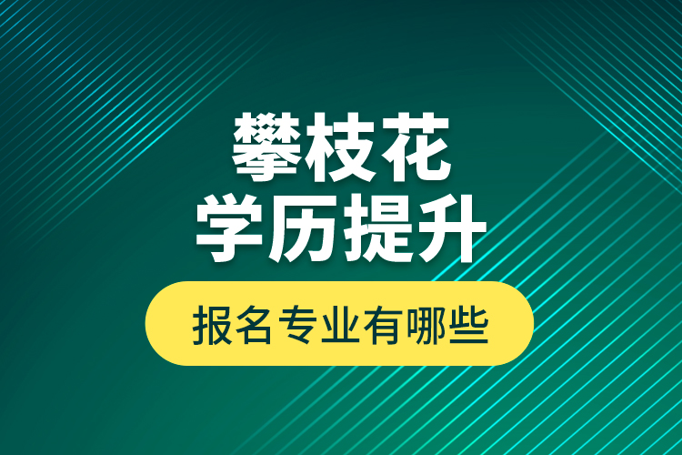 攀枝花學(xué)歷提升報名專業(yè)有哪些？